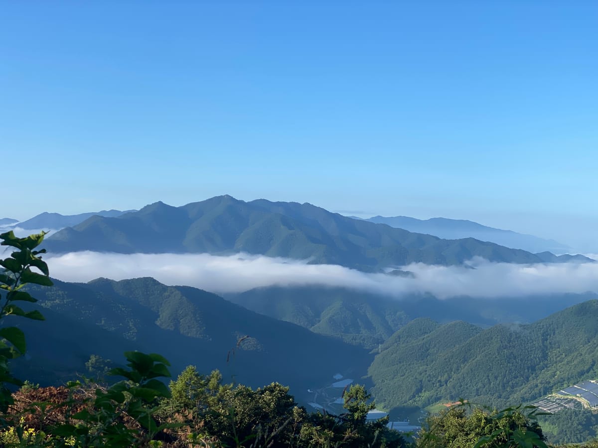 SYNAGOGUE LETTER 2024. 03. 17.