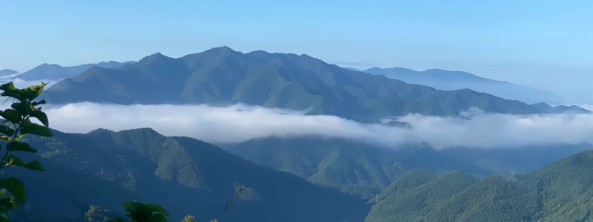 SYNAGOGUE LETTER 2025. 04. 26.