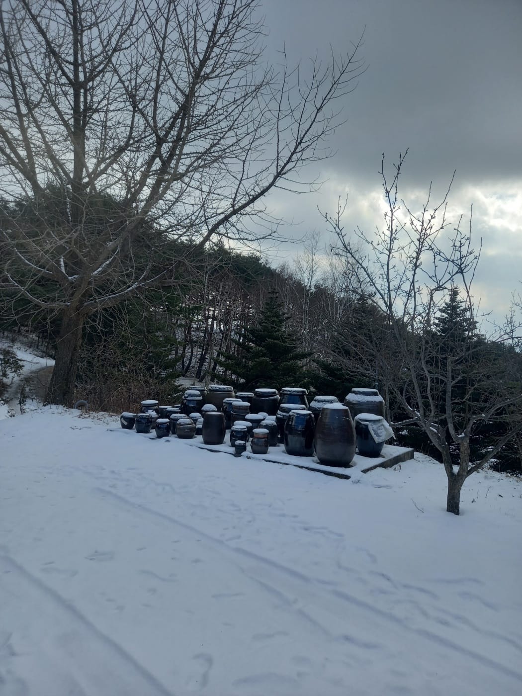 SYNAGOGUE LETTER 2024. 12. 07.