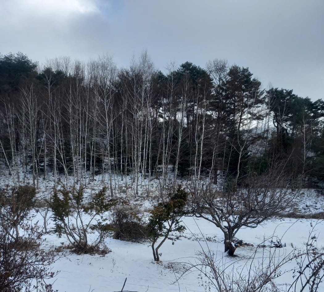 SYNAGOGUE LETTER 2024. 1. 20.