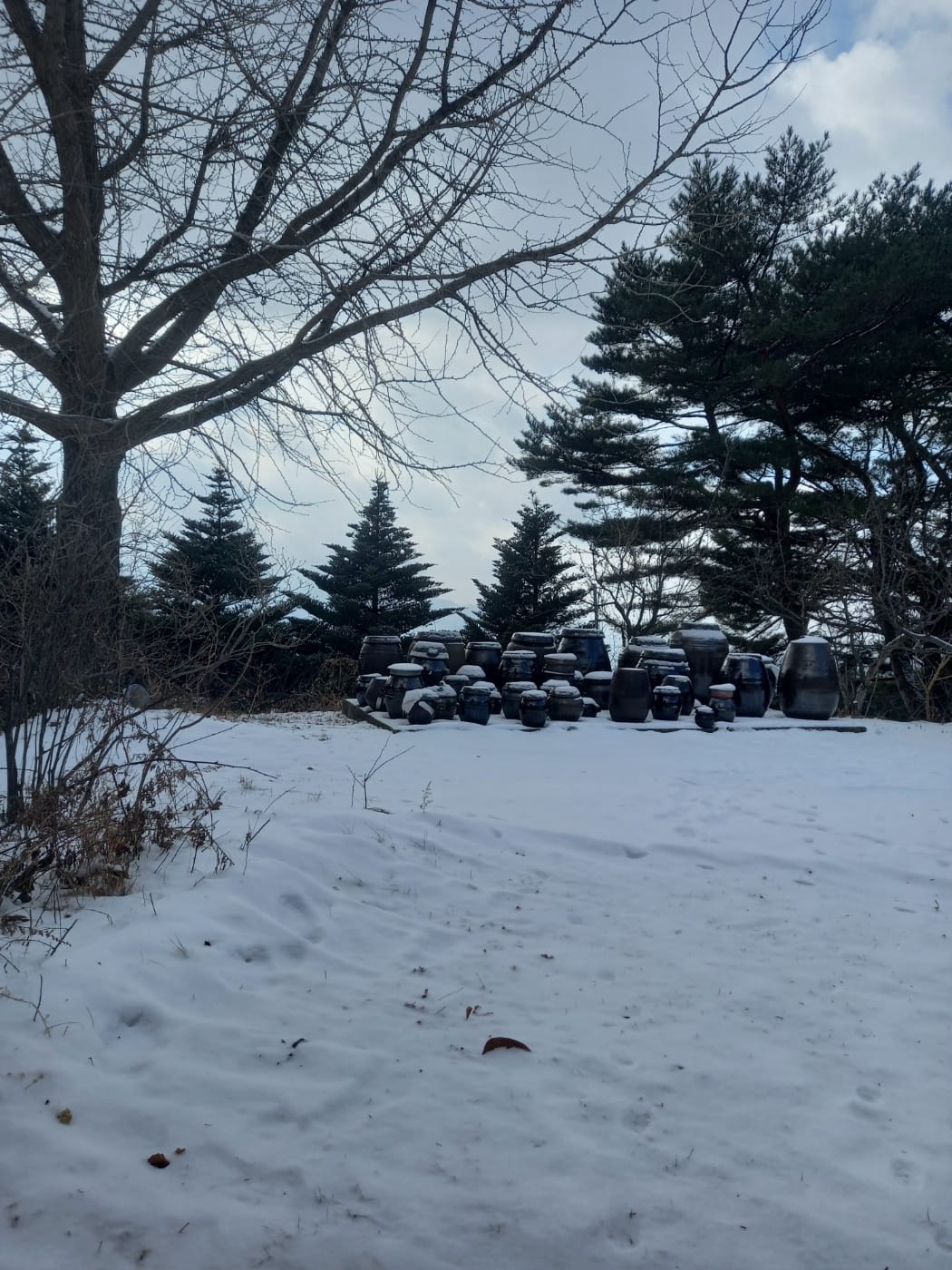 SYNAGOGUE LETTER 2025. 02. 01.