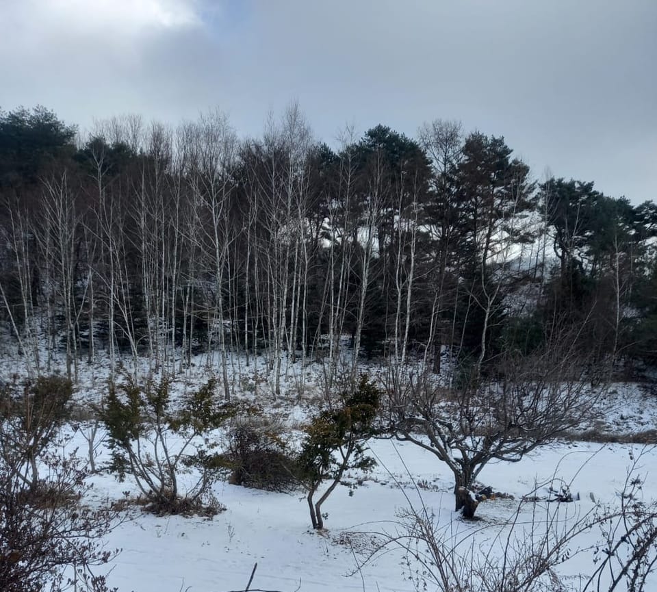 SYNAGOGUE LETTER 2024. 1. 20.