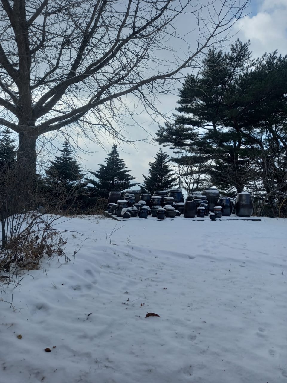 SYNAGOGUE LETTER 2025. 02. 01.